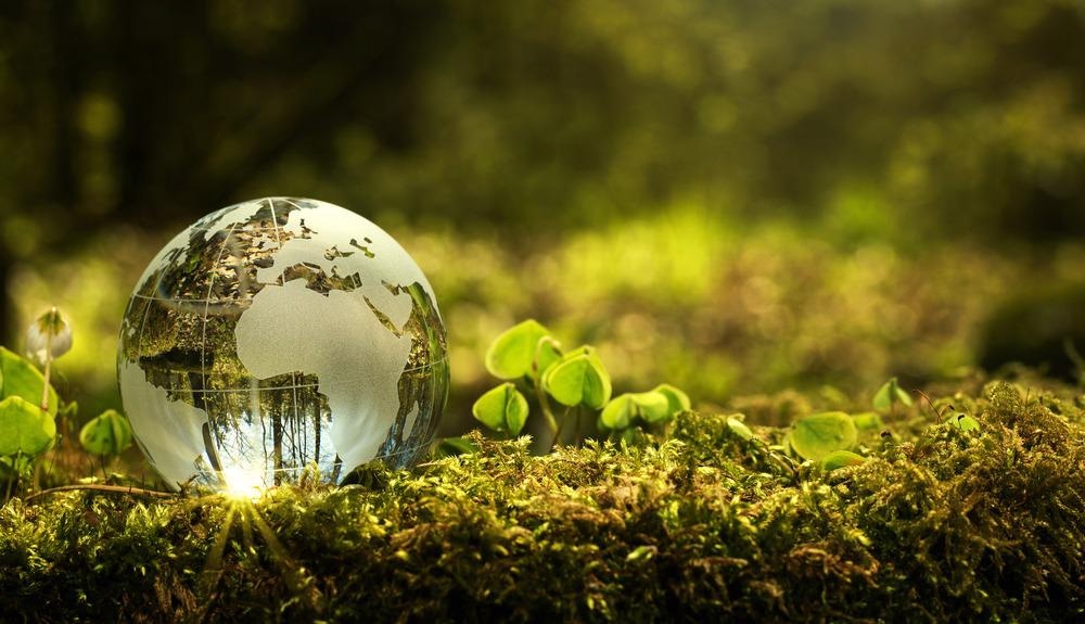 Environment