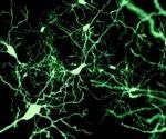 Spectroscopy's Role in Disease Diagnosis