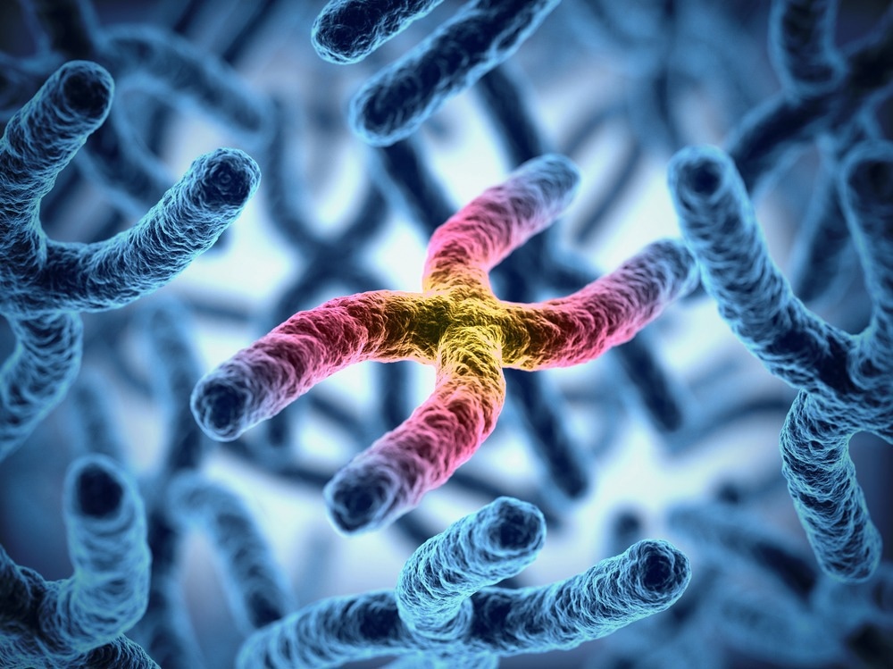 Genetic Mutation