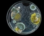 Accidental Breakthroughs: The Role of Serendipity in Science
