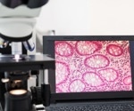 Investigating the Applications of Meoscopy