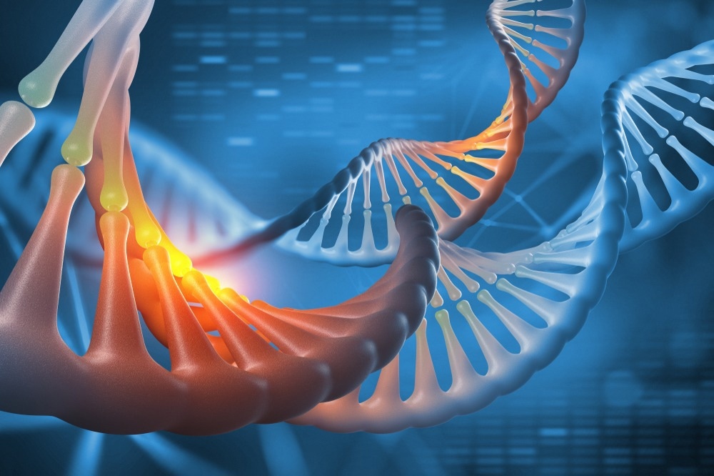 Genome