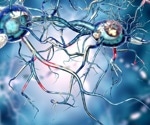 What is Expansion Microscopy?
