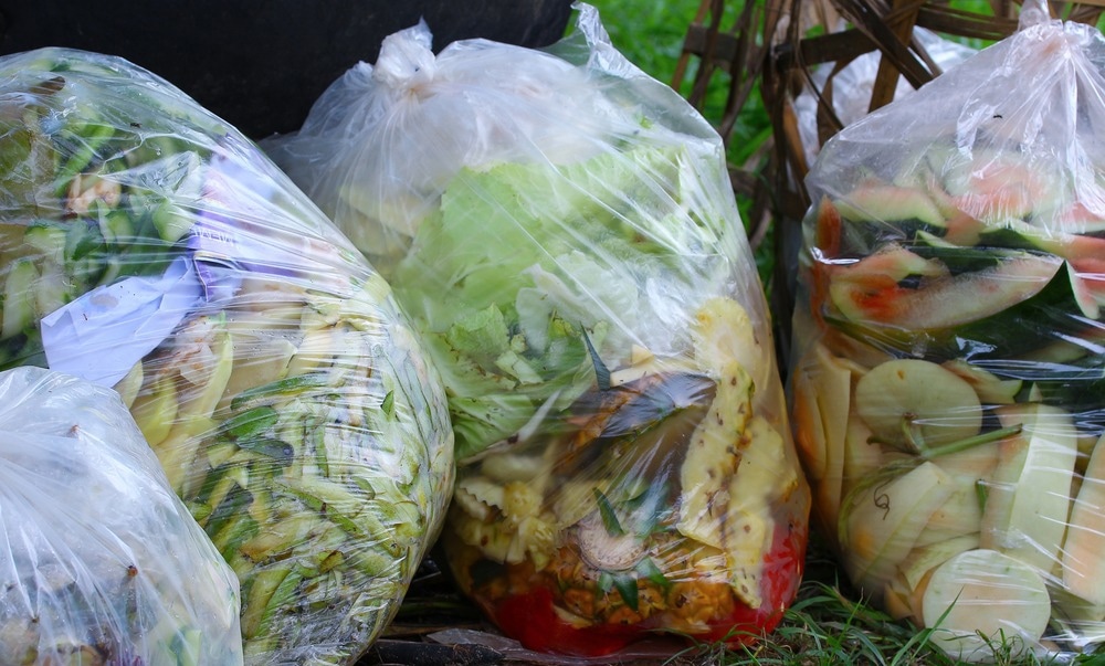 Food Waste