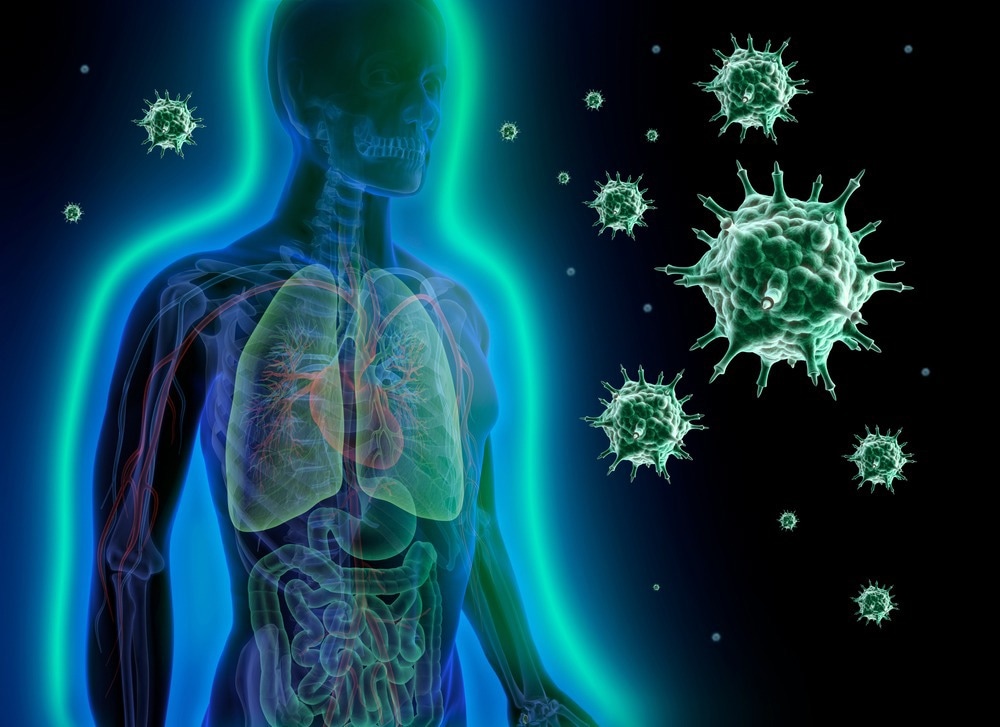 Immune System