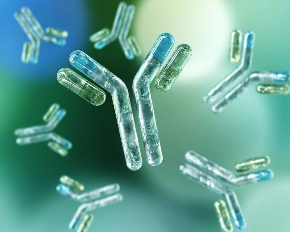 Antibodies