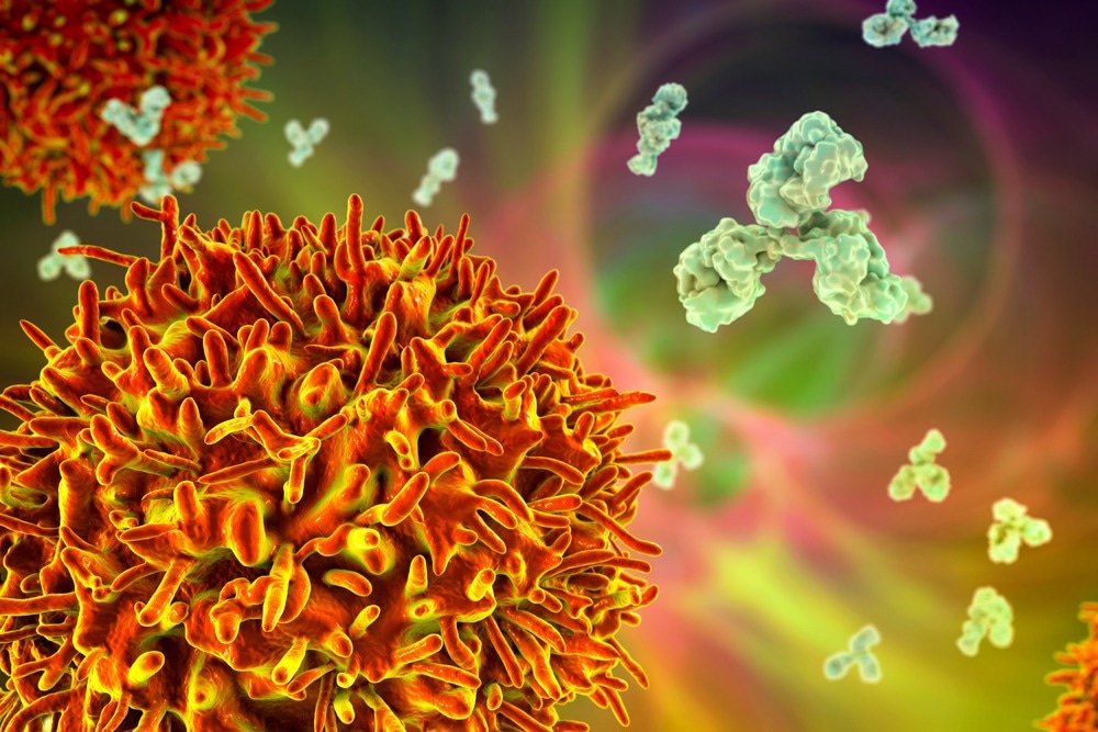 B Cell and Antibodies