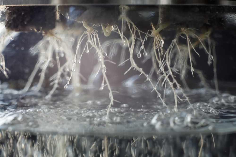 Deep-water hydroponic system