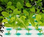 What is Deep-Water Farming?