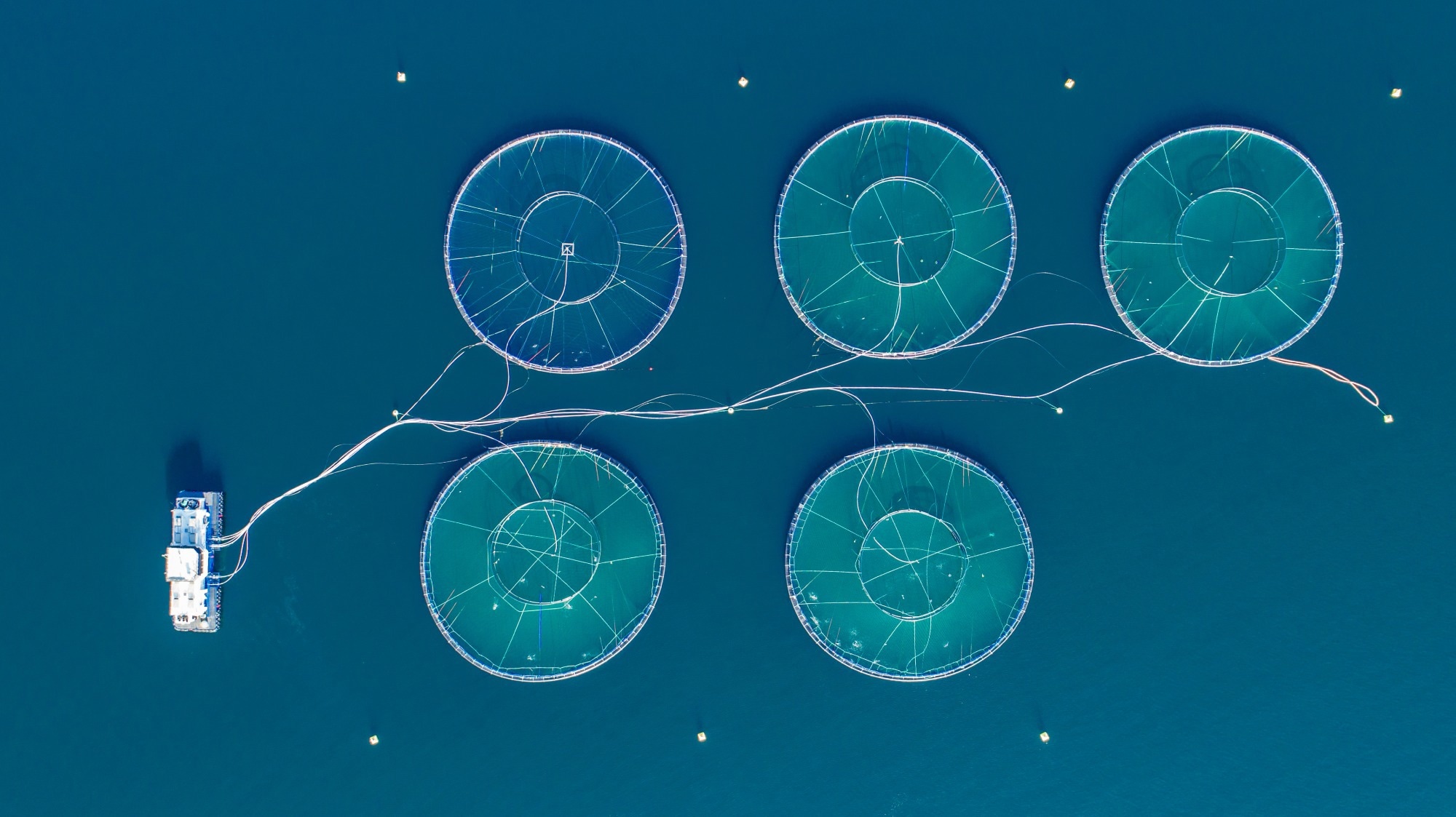 Floating aquaculture farms