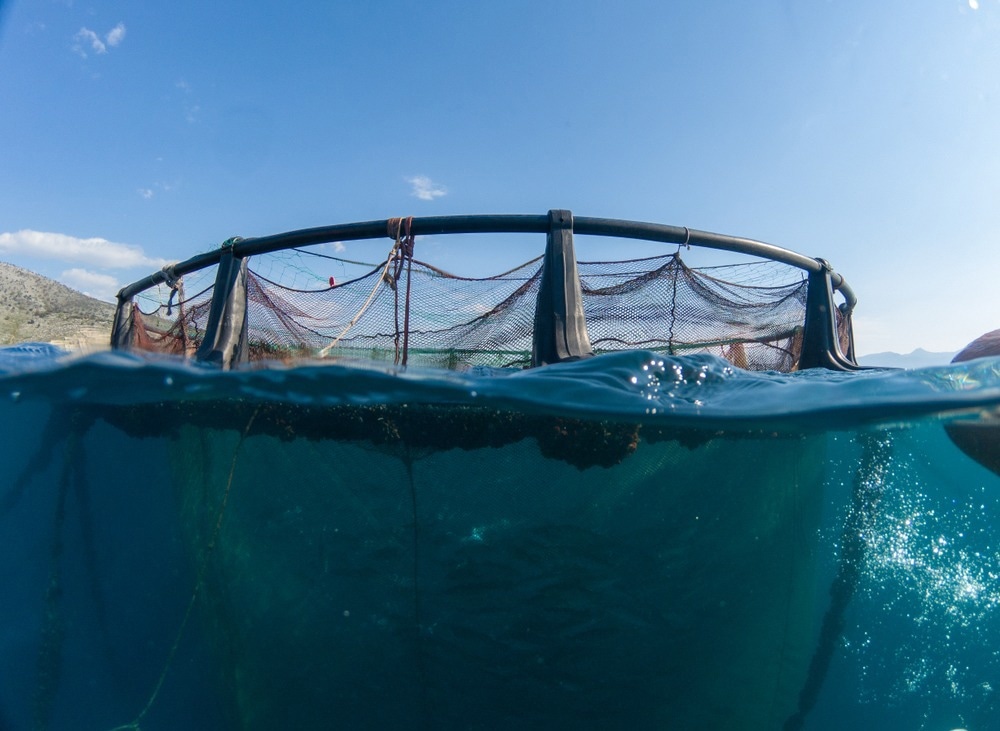 Aquaculture