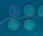 Floating Autonomous Farms: The Future of Aquaculture?