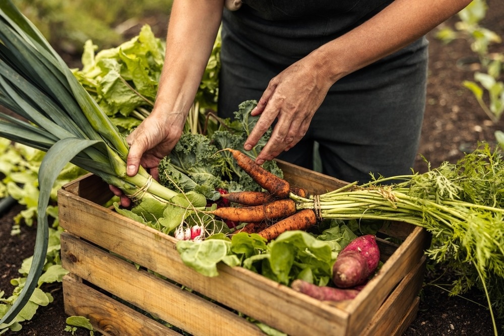 Sustainable food