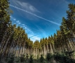 What is Regenerative Forestry?