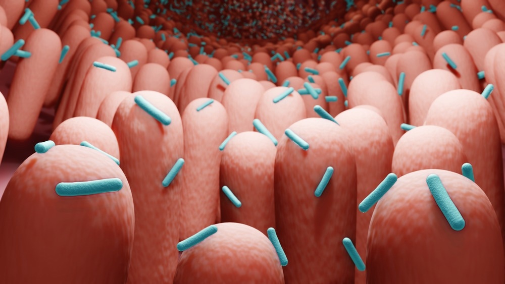 Microbiome