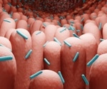 How does the Gut Microbiome Influence Mental Health?
