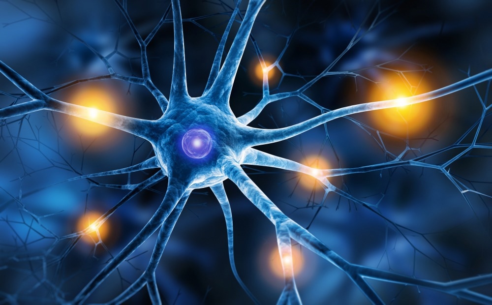 Neurobiology
