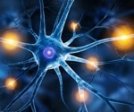 Understanding Neurobiology through Proteins
