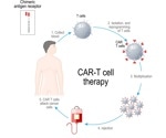Are CAR-T Cells the Future of Infectious Diseases Treatment?