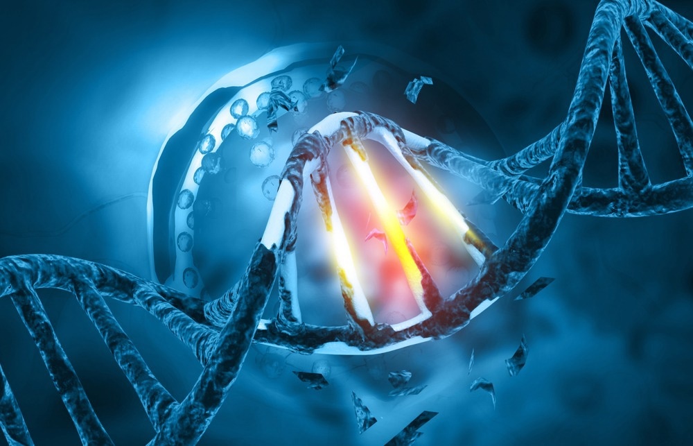 DNA Damage