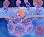Role of Targeted Protein Degradation in Immunology