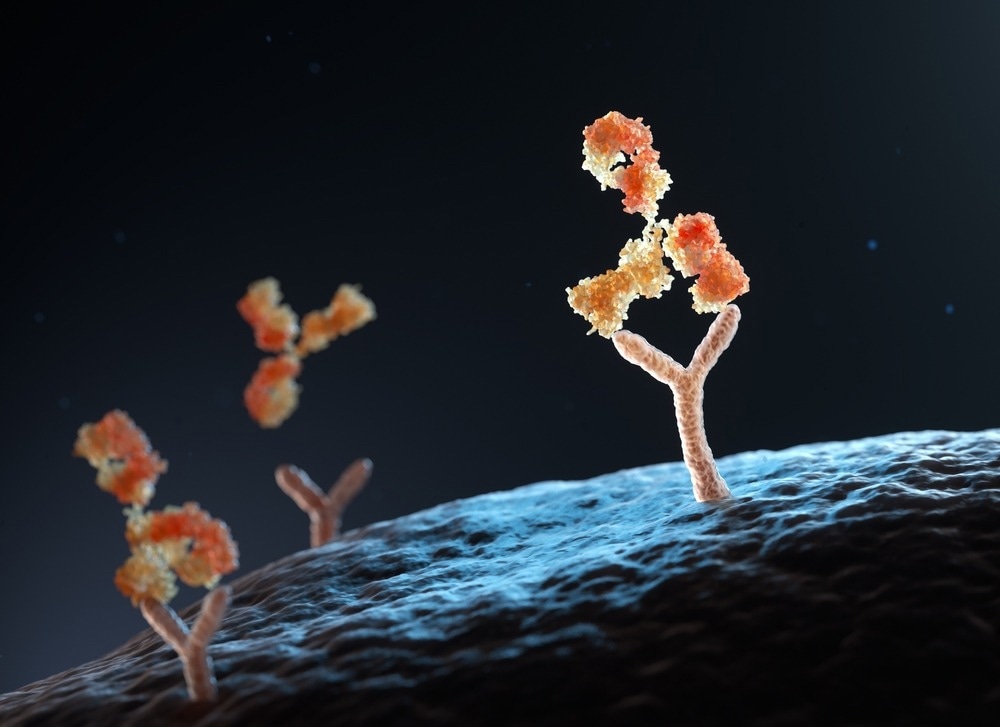Antibodies binding to Antigens
