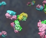 A Guide to Optimizing Antibody Therapeutics