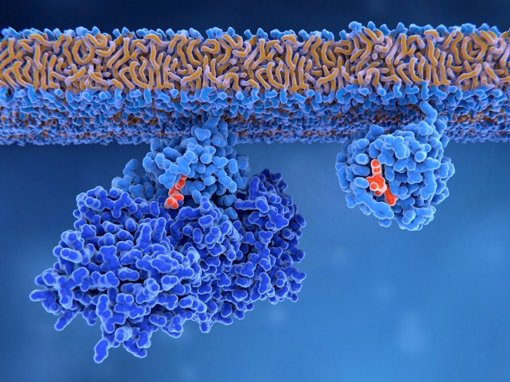 Protein Binding Site