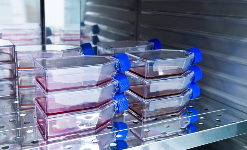 Cell Culture