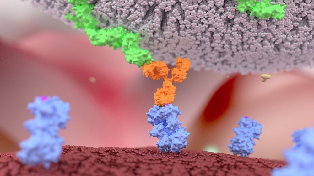 Natural Killer Cell