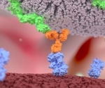 What is Adoptive Cell Therapy?