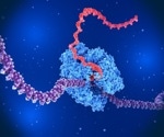 RNA Polymerases Across the Kingdoms of Life