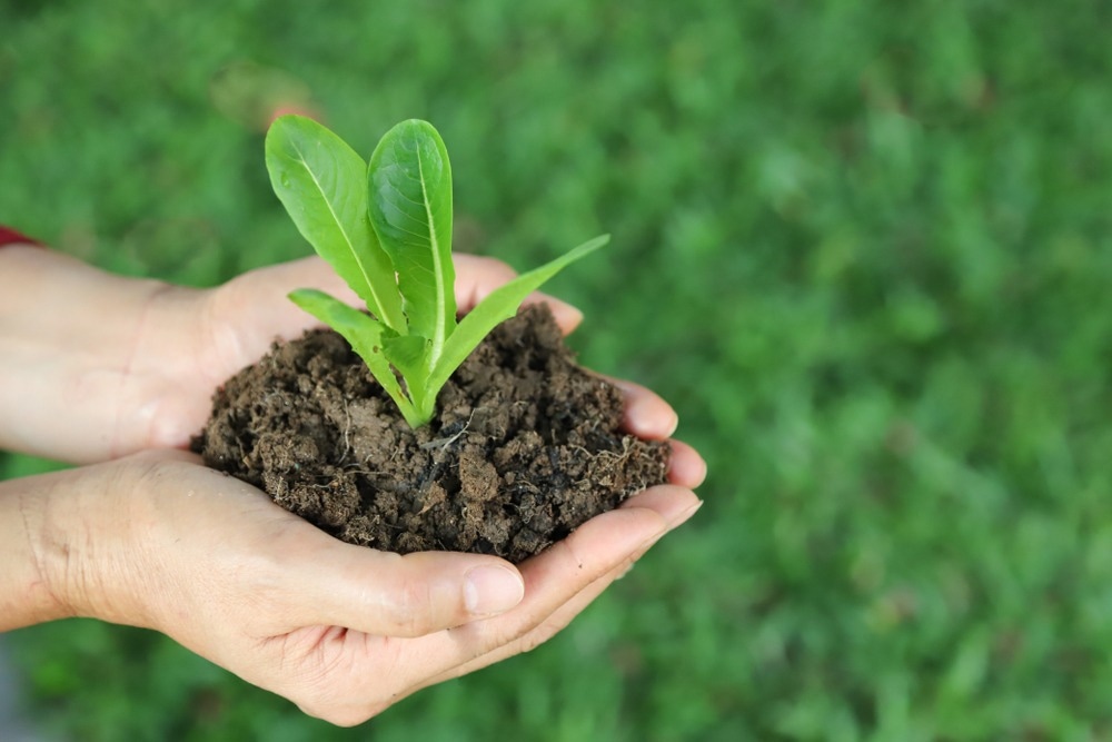 Biopesticides