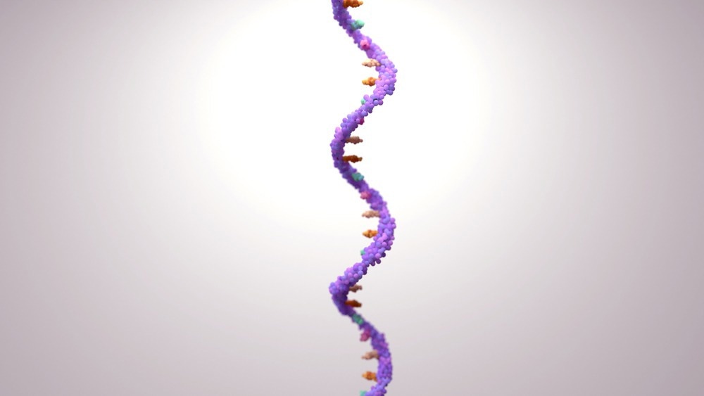 RNA