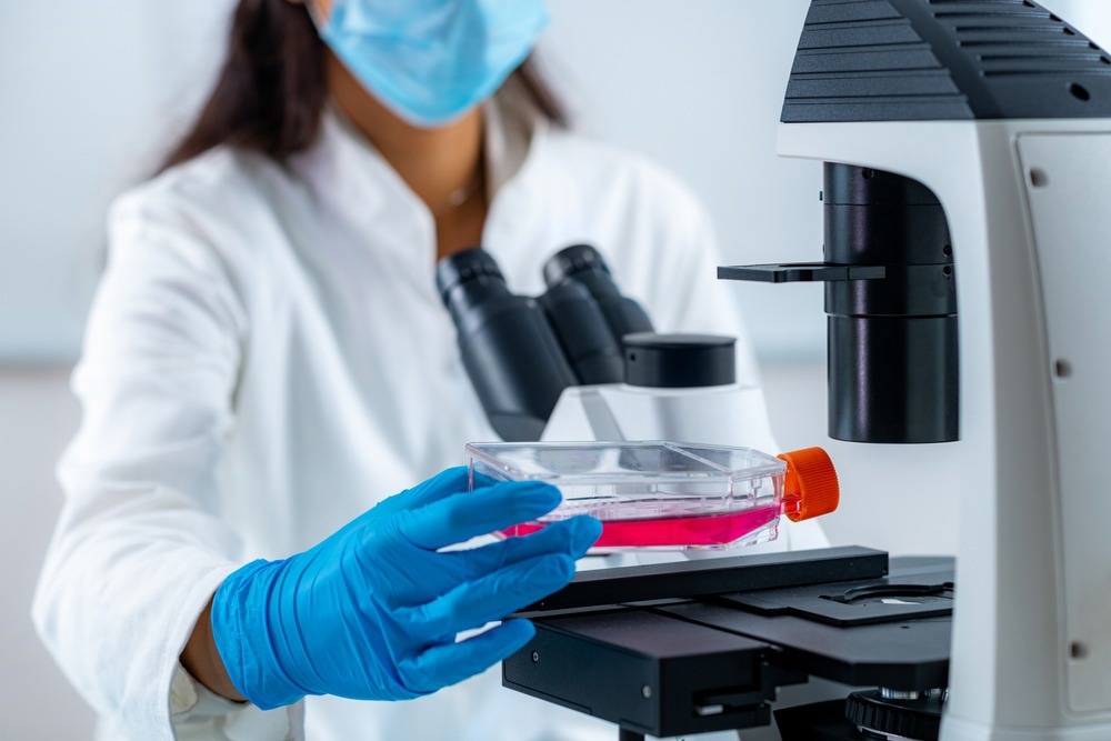 Cell Culture
