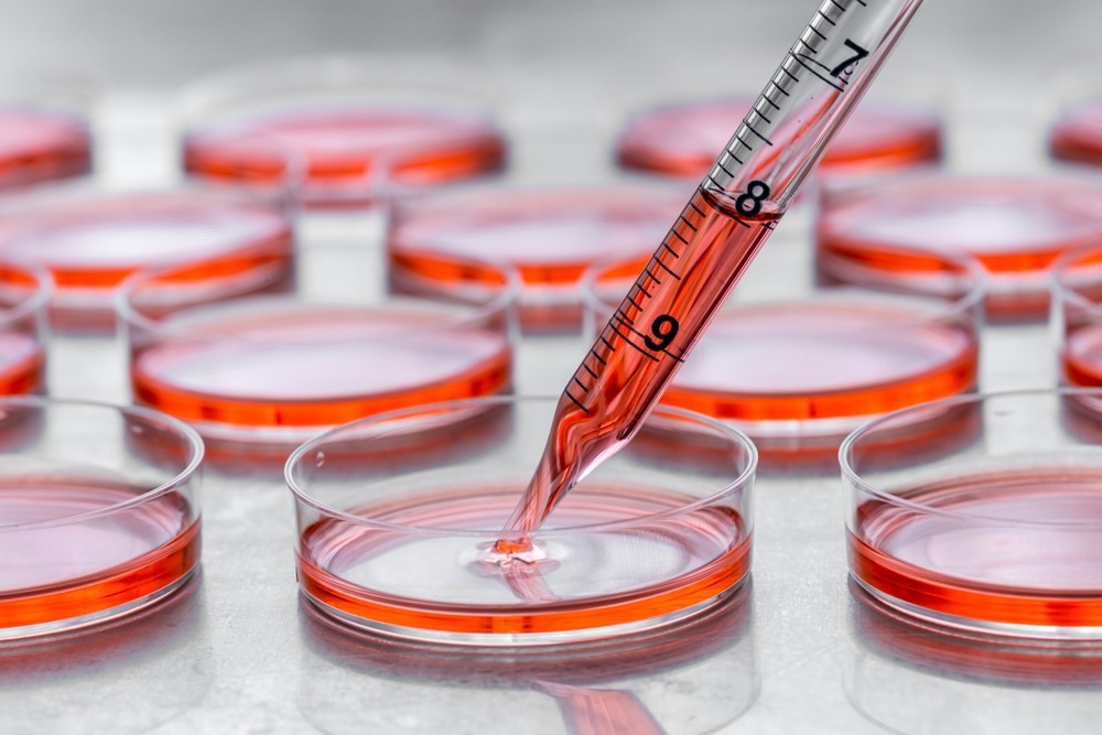 Cell Cultures