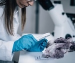A Comparison of Microscopic Examination Techniques Used in Forensic Investigations