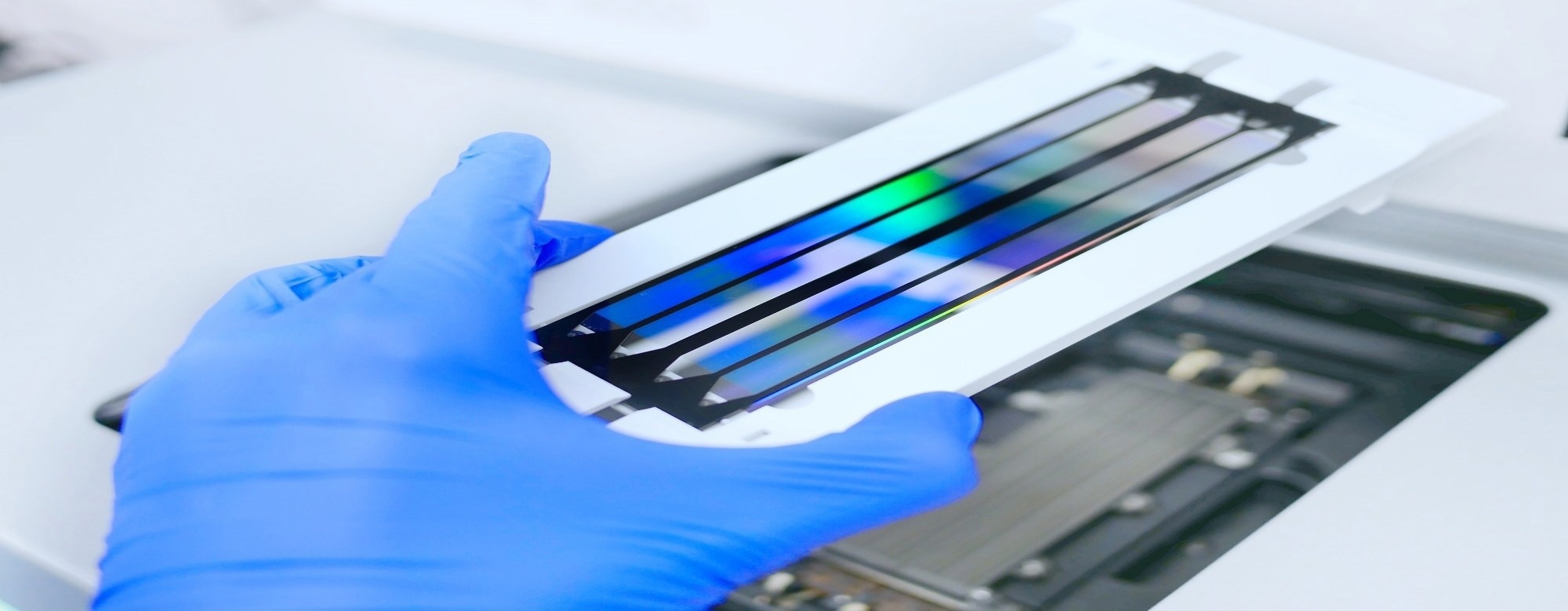 AI for Decoding Gene Expression and Cellular Behavior