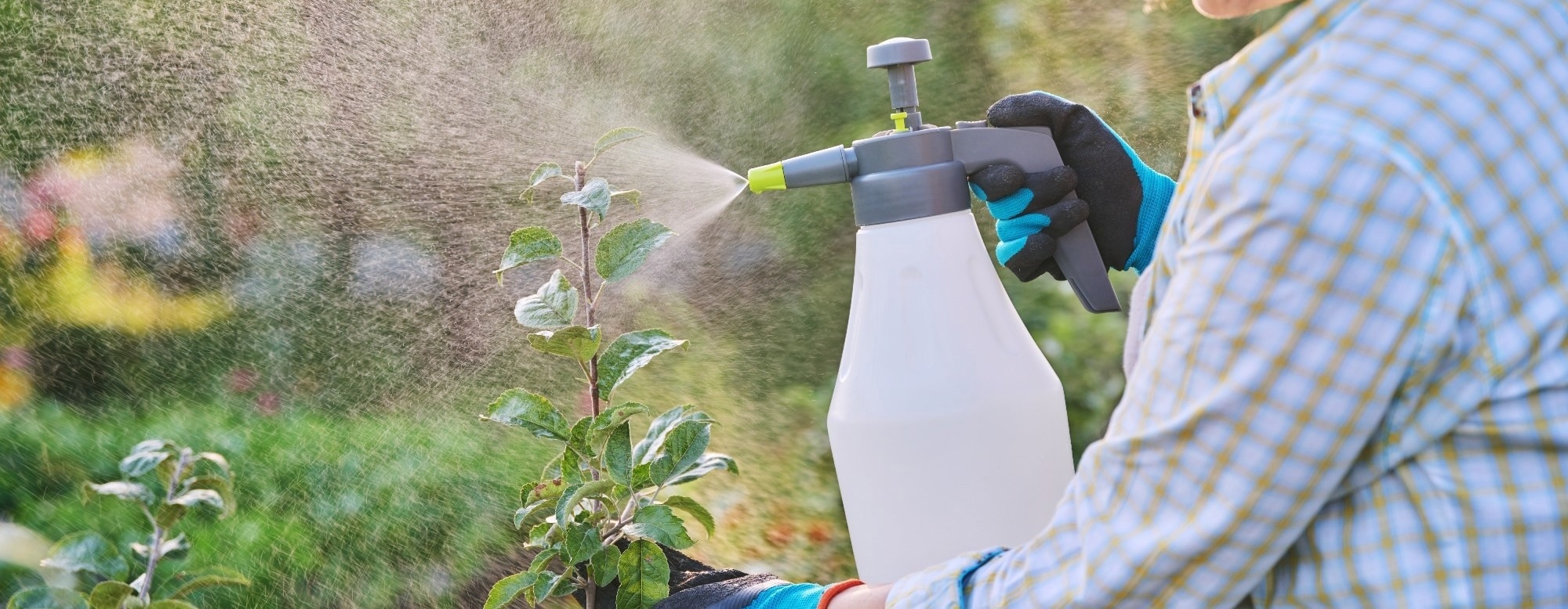 Engineered for Defence: How Modified Microbes are Becoming the New Biopesticides