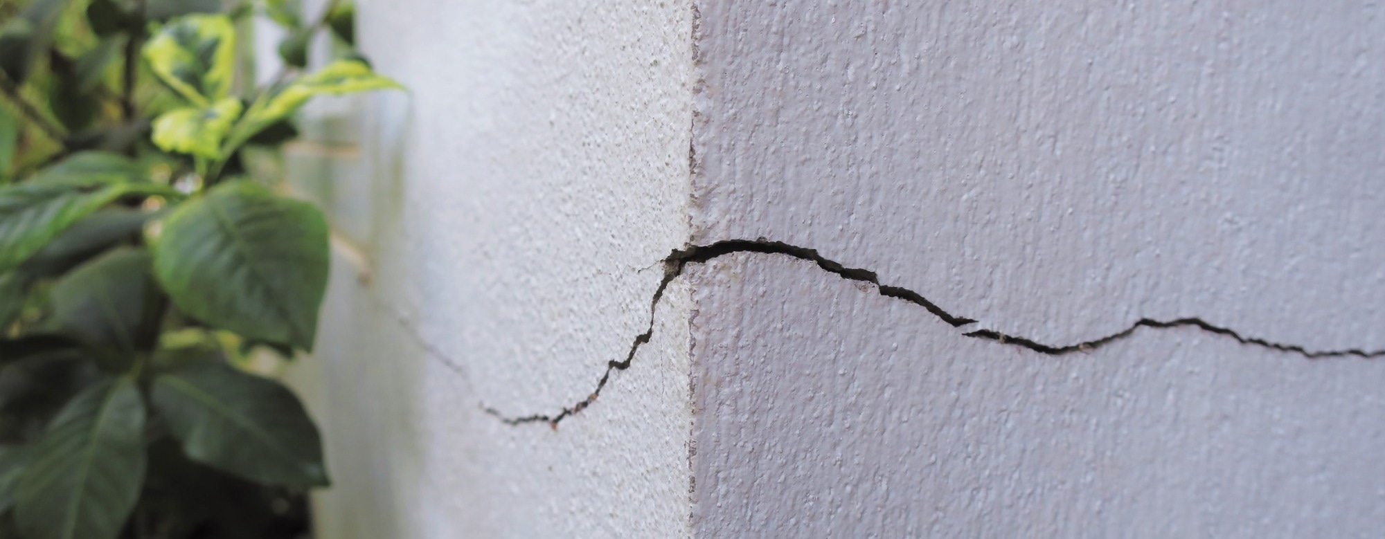 How Bacillus Spores Initiate Self-Healing Concrete