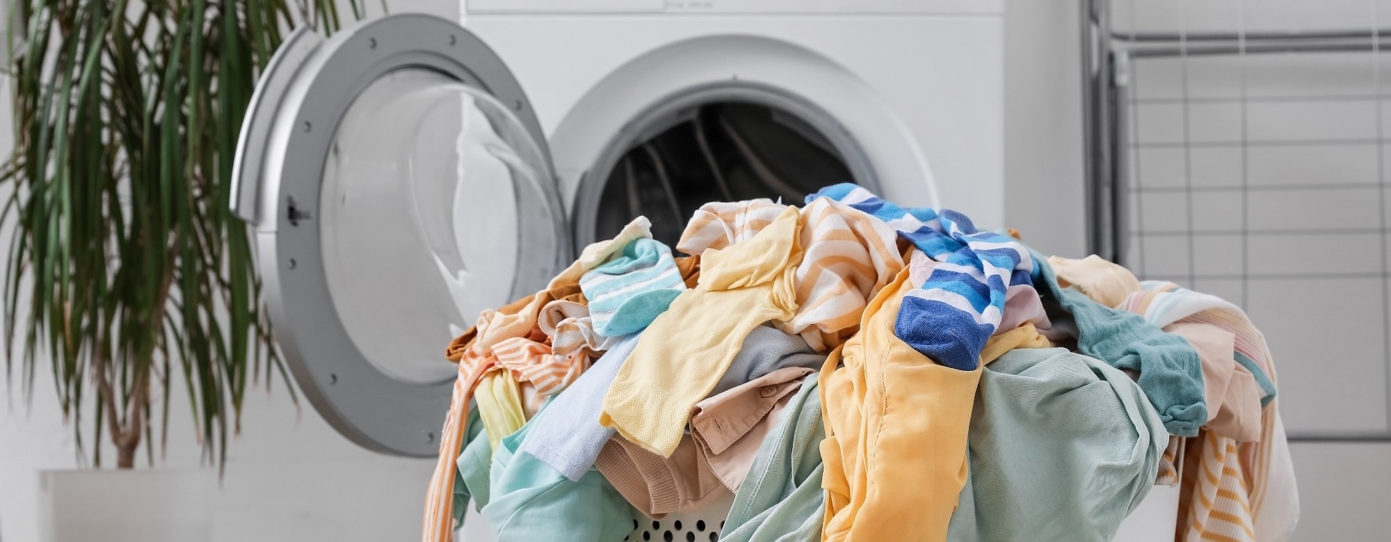 Your Washing Machine Isn’t As Clean As You Think