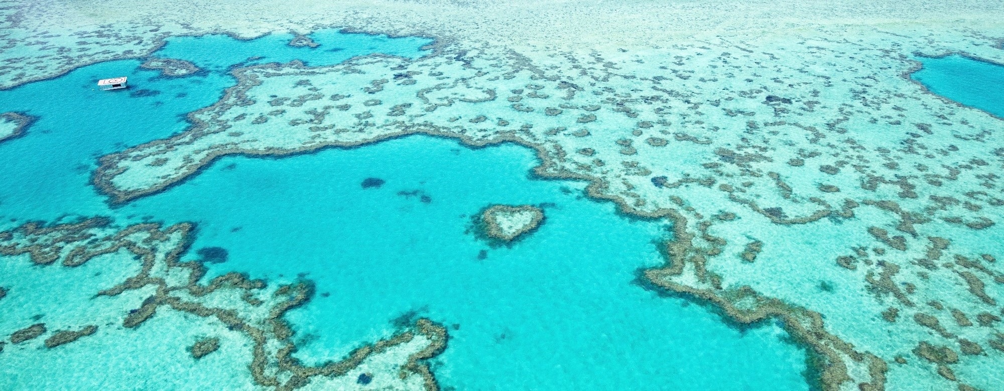 Climate Change Could Push The Great Barrier Reef To Near Total Collapse