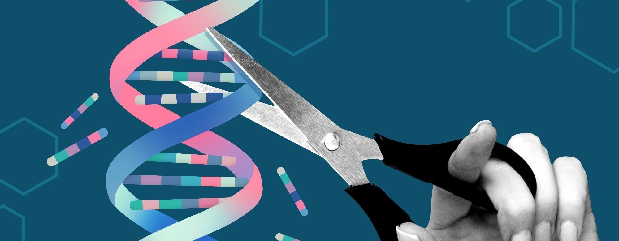 CRISPR for Christmas? The Year’s Biggest Gene Editing Breakthroughs, Unwrapped