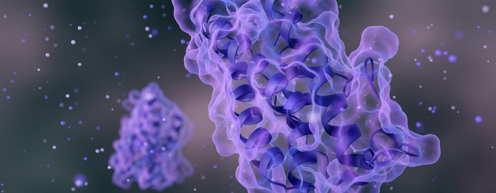 Spatial Proteomics: Mapping Protein Organization Across Cells and Tissues