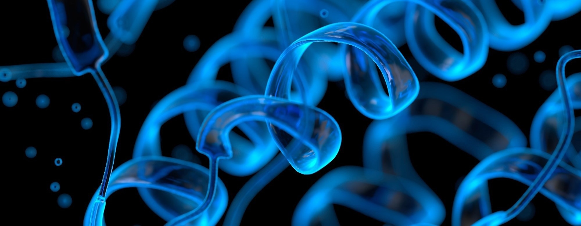 The Life Cycle of a Protein