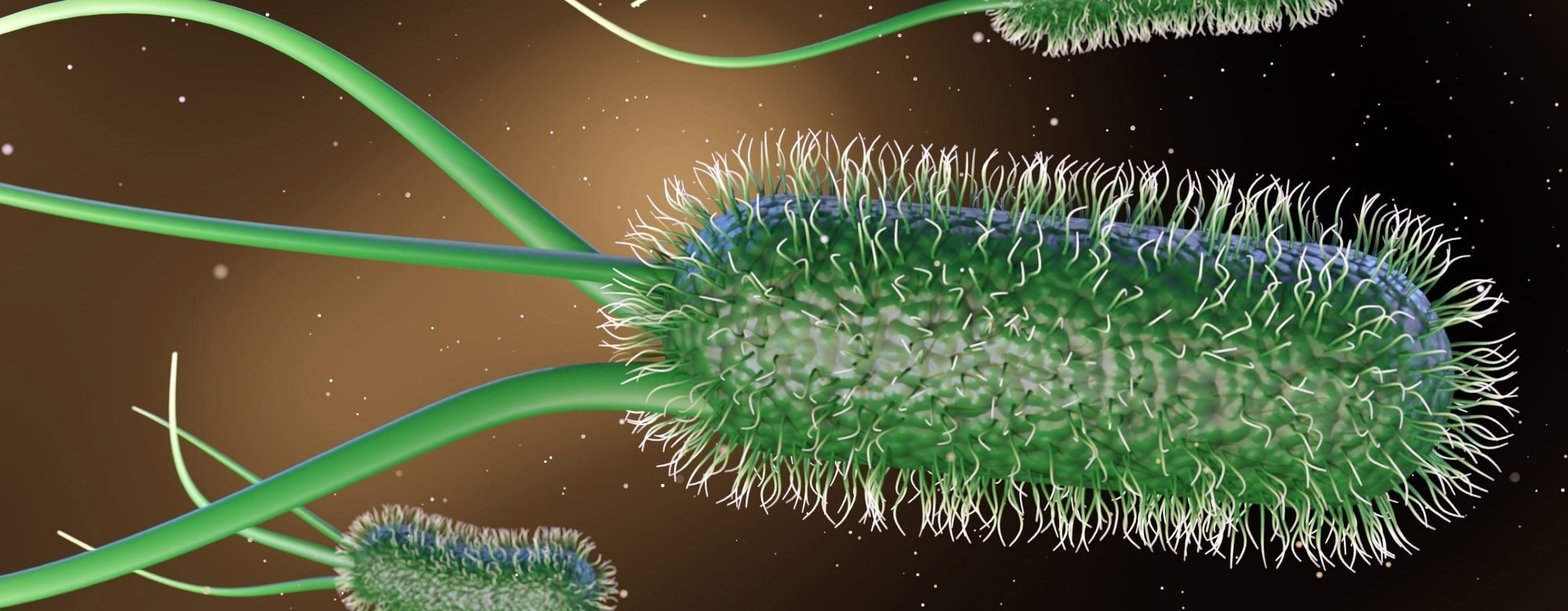 Engineered E. coli Produces Key Plant Compound at Record Levels