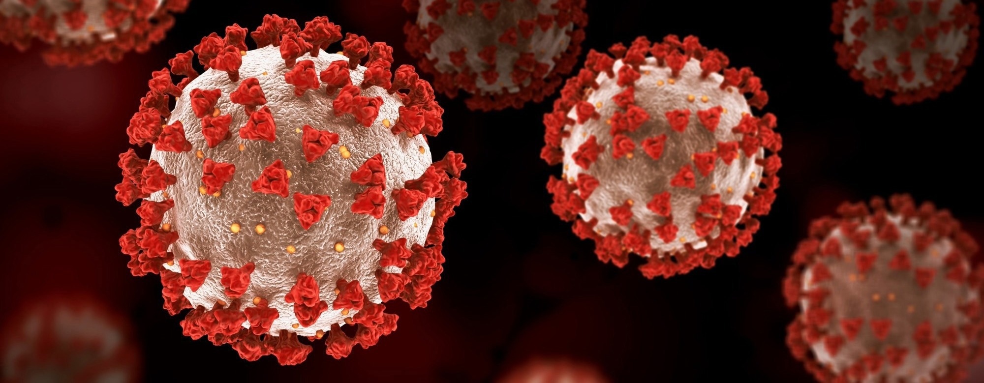 How SARS-CoV-2 Hijacks Host tRNA Chemistry to Sustain Infection