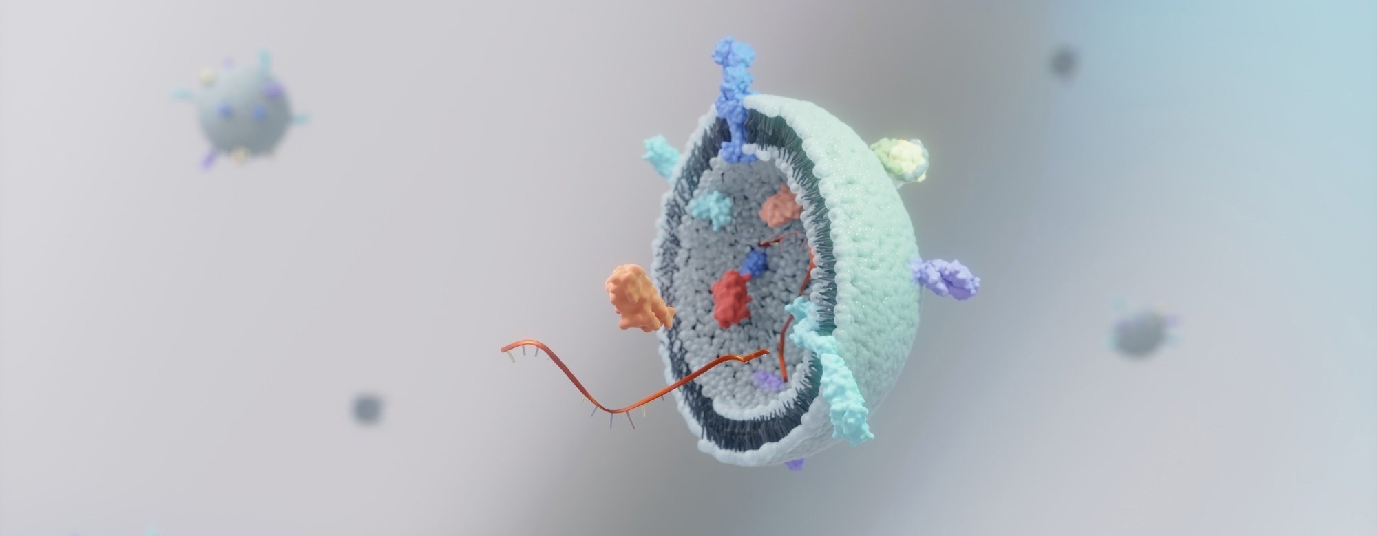 EV Engineering Boosts Drug Delivery and Improves Sepsis Survival