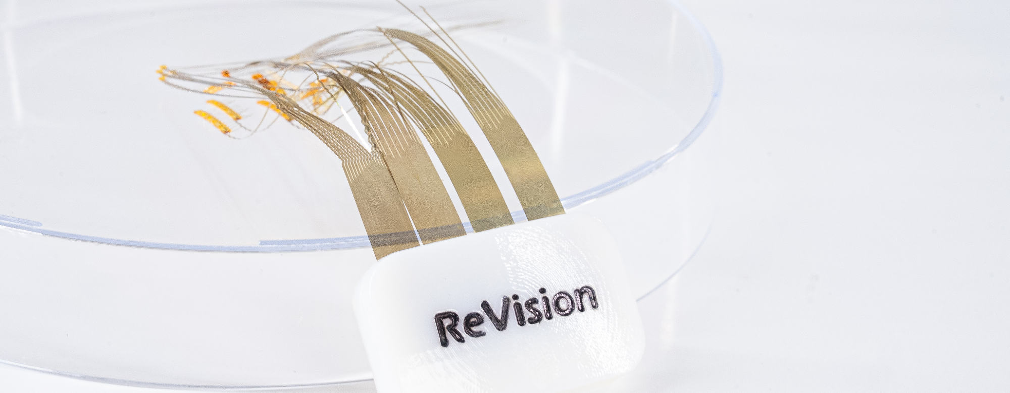 The Future of Vision Restoration With ReVision Implant
