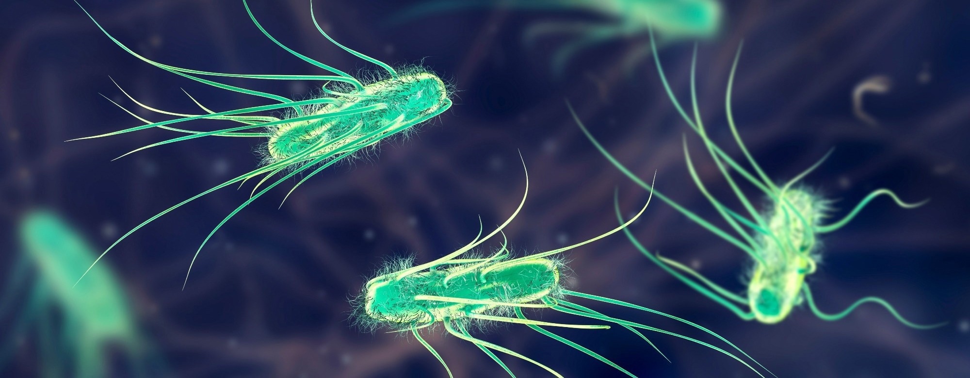 How Microbes Use Opposing Signals To Catch Moving Nutrients